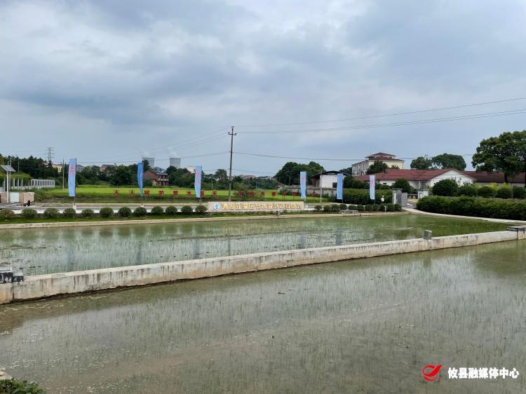 市委党校组织学员到酒埠江灌区开展调研活动