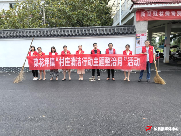 【攸县党旗下的新时代文明实践：我为群众办实事】菜花坪镇开展“村庄清洁行动主题整治月”志愿服务活动
