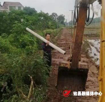 江桥街道：开展河流除草清障行动 做好安全度汛准备