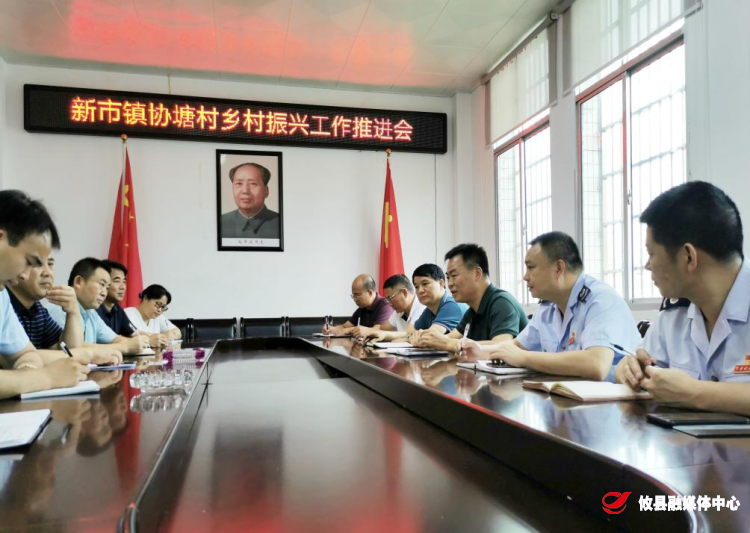 深入群众用心调研 助力新市镇乡村振兴启航新征程