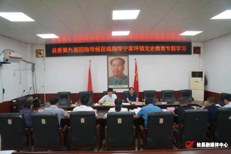 【学党史 开新局】宁家坪镇开展党史学习教育第四次专题学习
