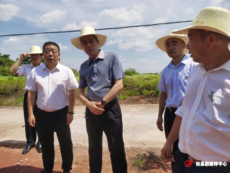 李智来攸调研指导乡村振兴工作
