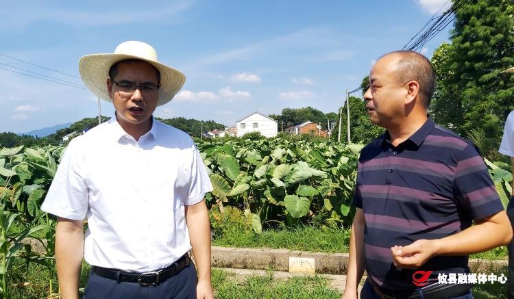 武挪强调研指导宁家坪镇农业产业工作