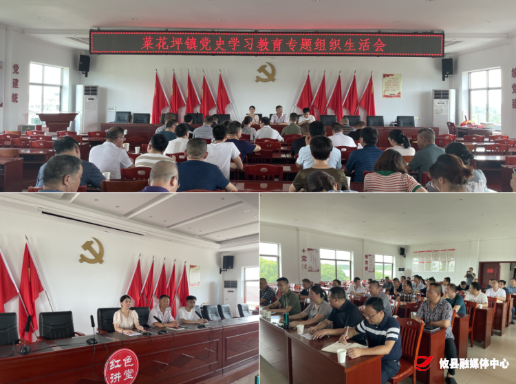 【学党史 开新局】菜花坪镇开展党史学习教育专题组织生活会