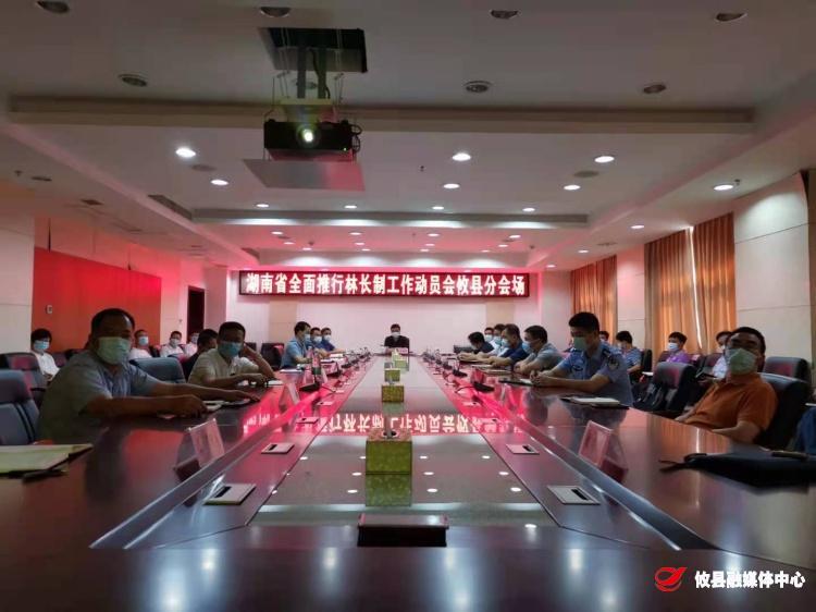 攸县收听收看湖南省全面推行林长制工作动员会