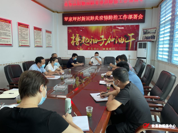 同心抗疫 | 网岭镇罗家坪村：出实招、谋新招、 亮硬招筑牢疫情防控网
