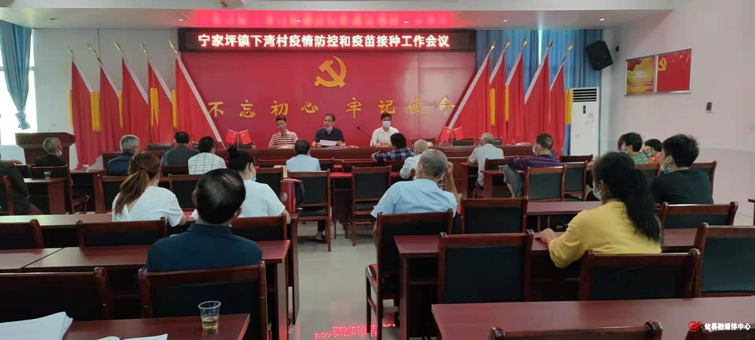 同心抗疫 | 宁家坪镇：扎实做好疫情防控事 筑牢村里疫情防控墙