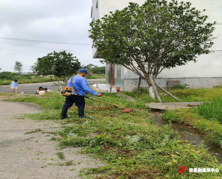 【我为群众办实事】联星街道沙陵陂村：清除杂草蚊虫，净化生活环境