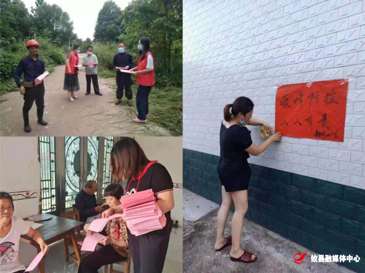 同心抗疫丨酒埠江镇：人大代表在行动 积极履职抗疫情
