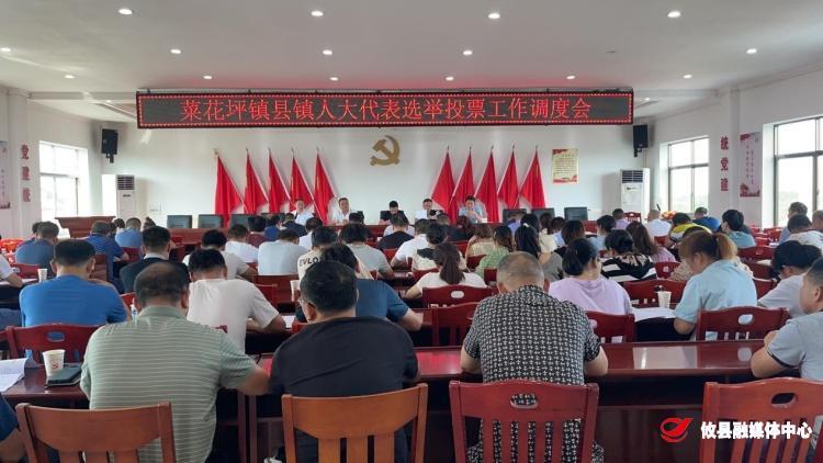 菜花坪镇召开县镇人大选举投票工作调度会
