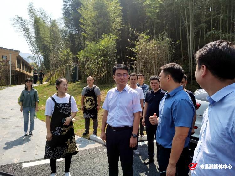 林涛到鸾山镇调研乡村振兴工作