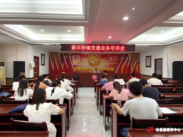 黄丰桥镇召开党建业务培训会