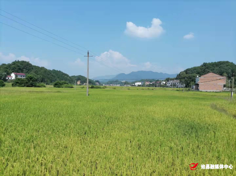 宁家坪镇： 当好国土卫士 守住亩耕地红线