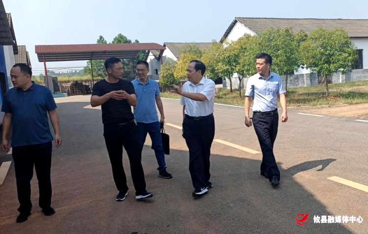 县领导督查莲塘坳镇安全生产工作