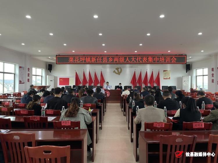 菜花坪镇召开新任县乡两级人大代表集中培训会