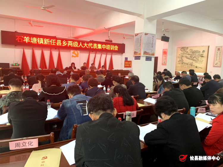 石羊塘镇召开新任县乡两级人大代表集中培训会