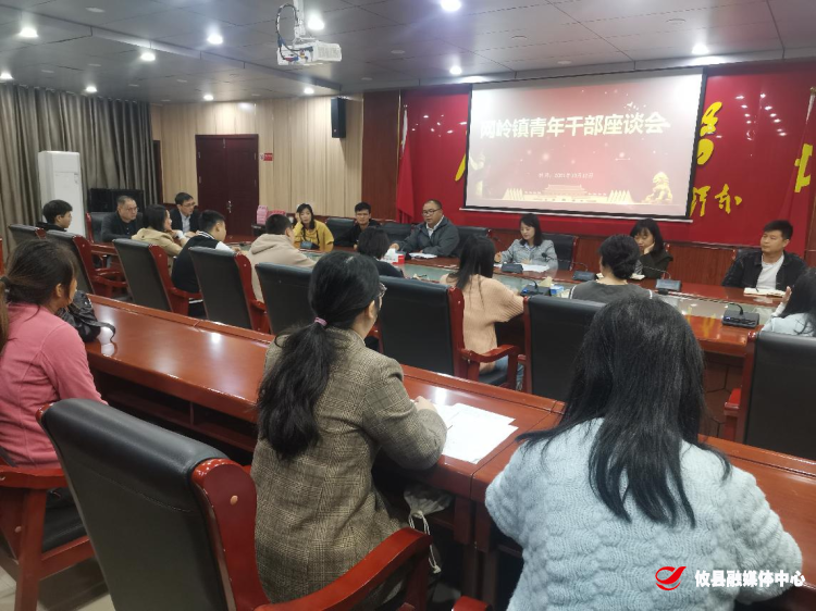 网岭镇召开青年干部座谈会