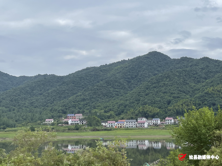 黄丰桥镇：严厉整治非法采砂 巡河守护碧水清流