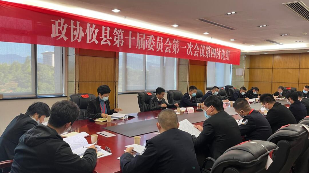 【两会聚焦丨新攸县·新征程】文毅参加政协委员联组讨论