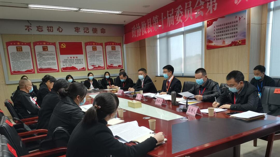 【两会聚焦丨新攸县·新征程】林涛参加政协委员联组讨论