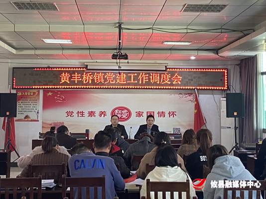 黄丰桥镇召开党建工作调度会