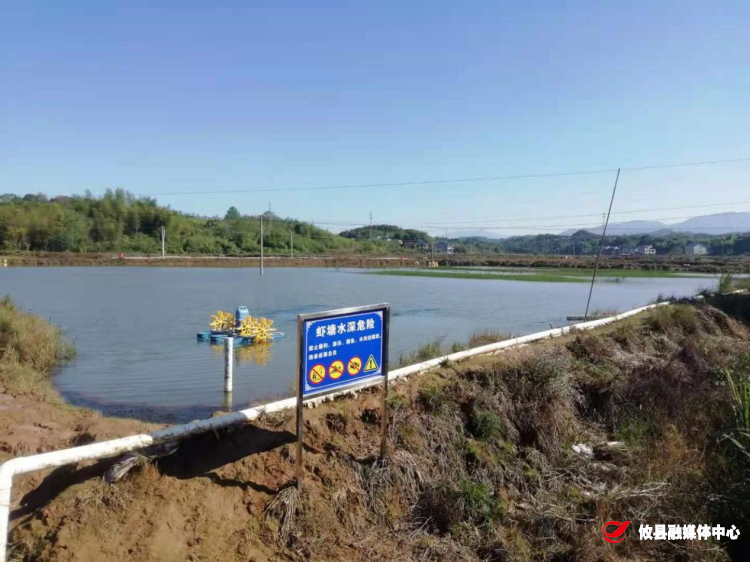 莲塘坳镇严厉打击占用基本农田兴建坑塘