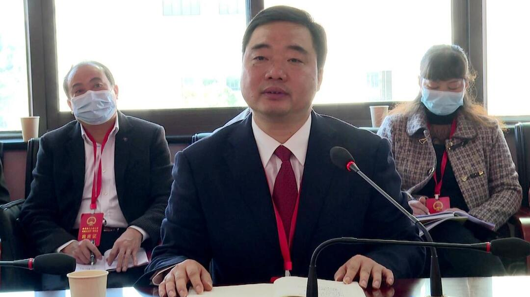 【两会聚焦丨新攸县·新征程】李鹏程参加人大代表分团讨论