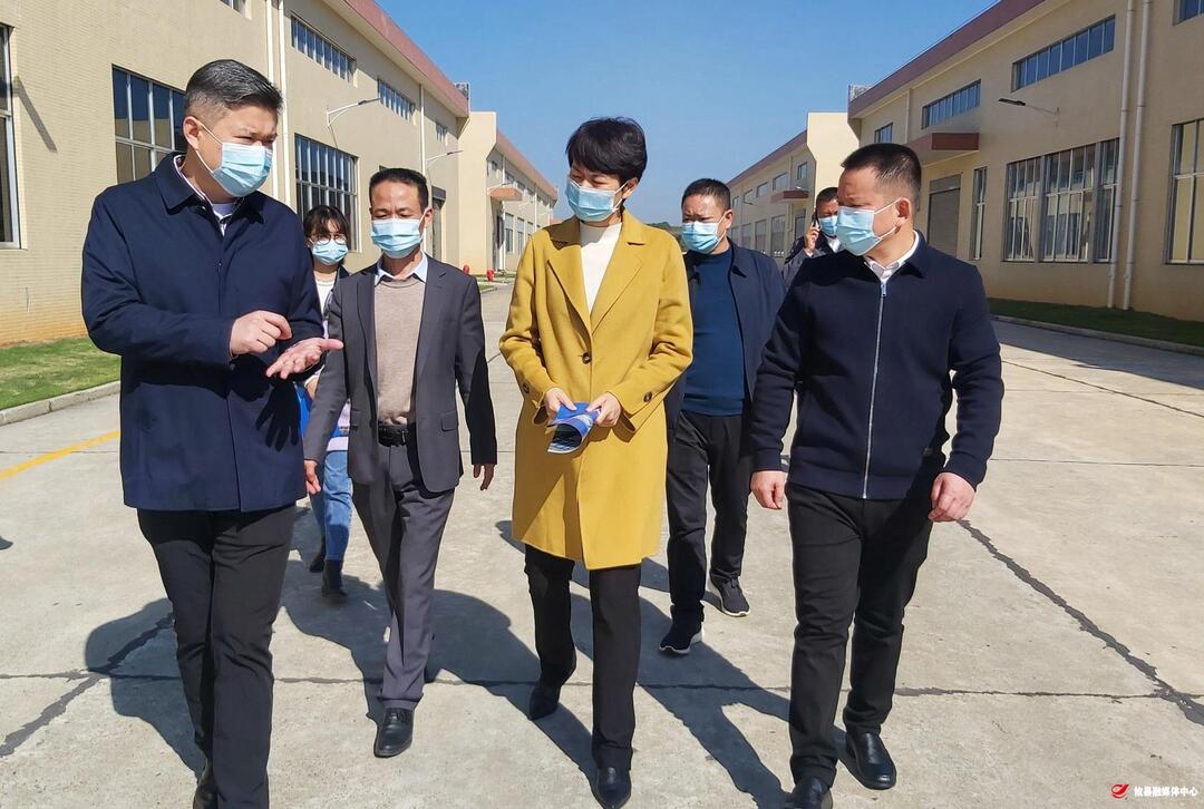 市委常委、统战部长罗琼来攸调研非公经济发展和统战工作