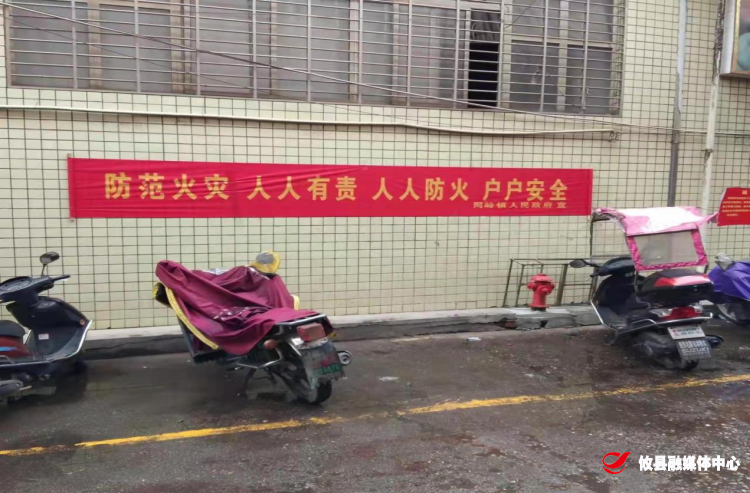 网岭镇开展消防安全月宣传活动