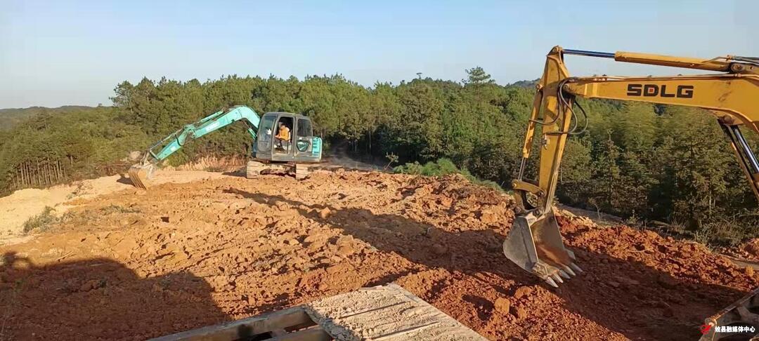 丫江桥镇联江村：开垦300亩荒山种油茶