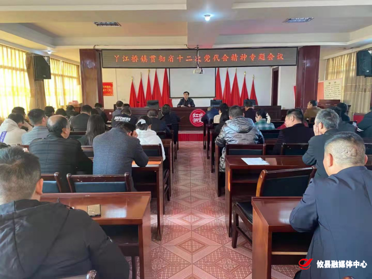 丫江桥镇传达学习贯彻省第十二次党代会精神