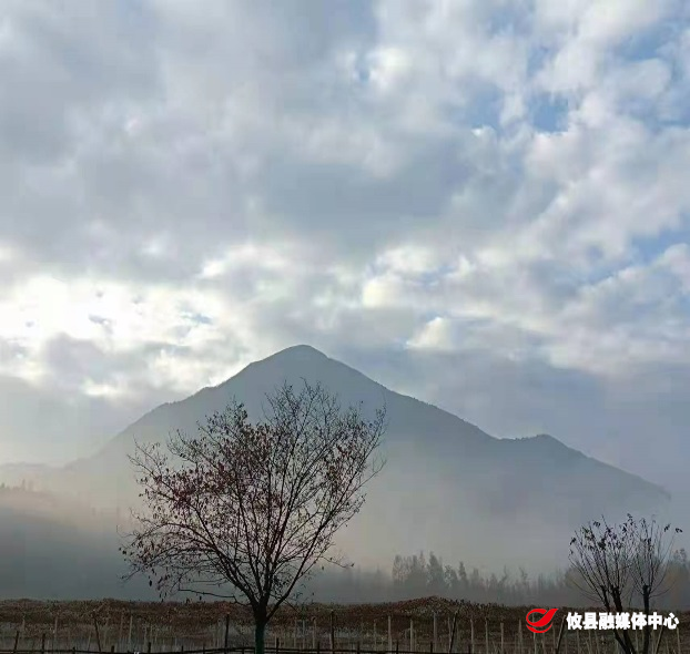 鸾山镇：这片樱花别样“红”，共筑太阳山下的乡村振兴梦