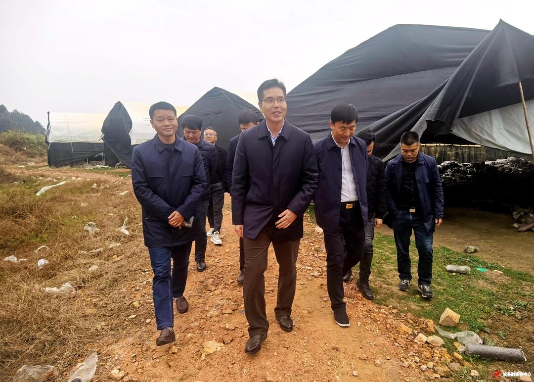武挪强调研乡村振兴工作