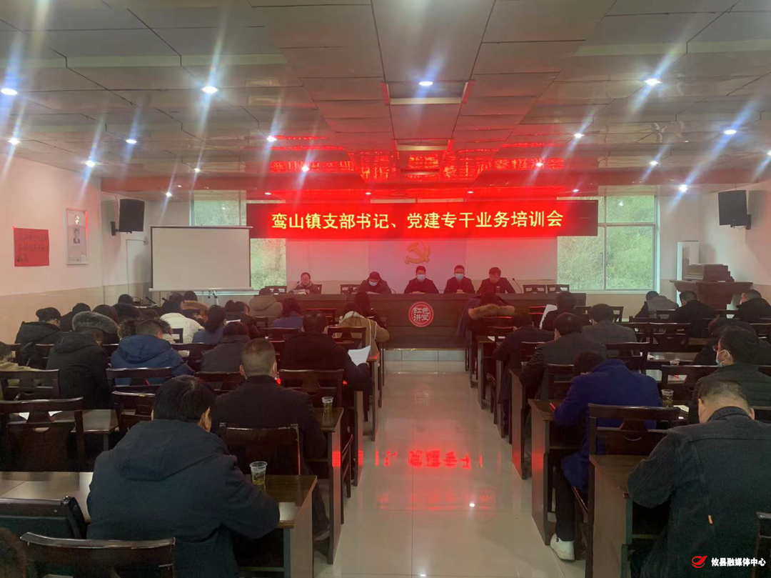 鸾山镇开展党建业务培训会暨当前阶段重点工作推进部署会