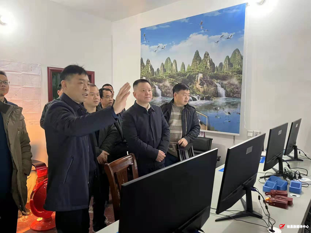 县领导到鸾山镇督导安全生产工作