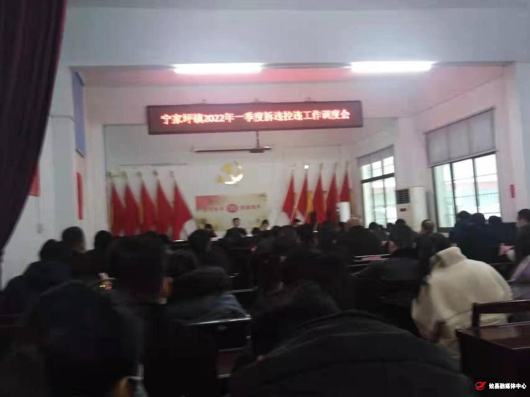 宁家坪镇召开2022年度第一季度拆违控违工作调度会