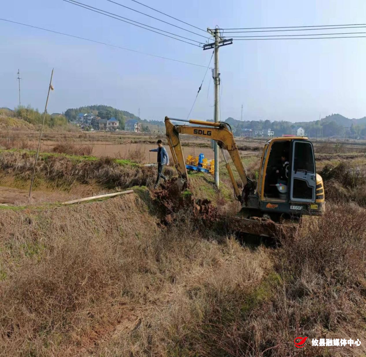 莲塘坳镇：坚决打击“占用耕地”挖坑建塘