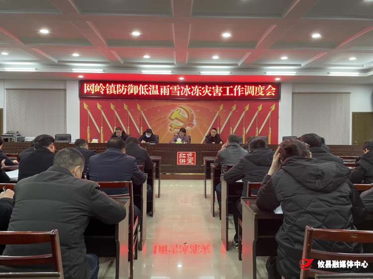 网岭镇召开防御低温雨雪冰冻灾害工作部调度会