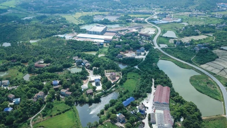 全国示范！株洲14个村（社区）上榜