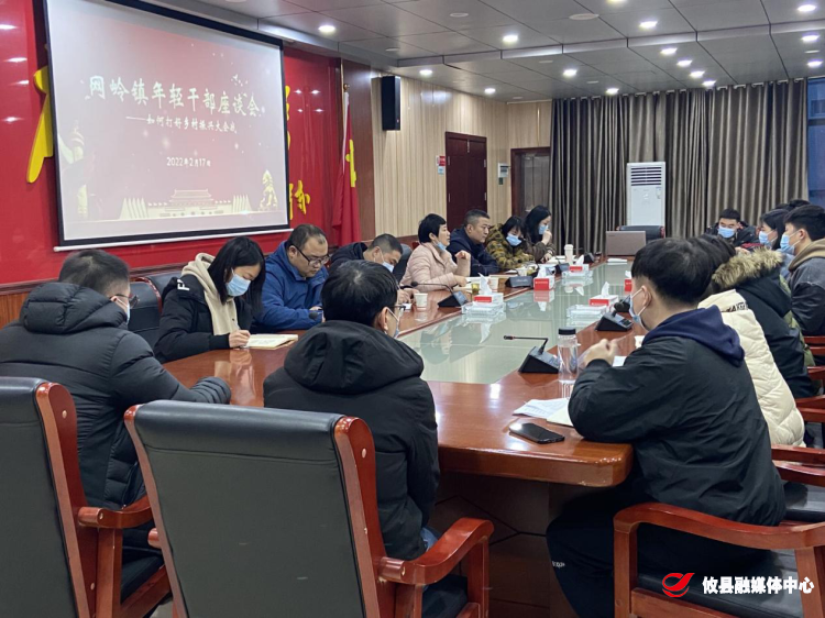 网岭镇召开年轻干部座谈会：如何打好乡村振兴大会战
