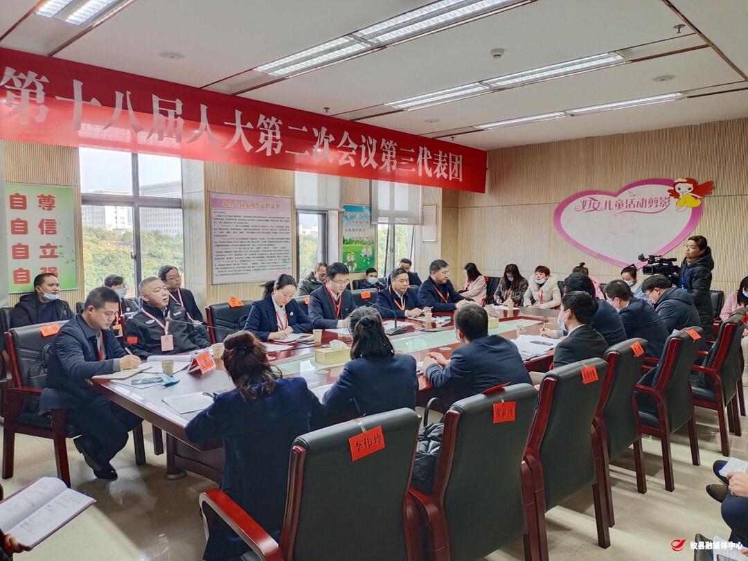【两会进行时·攸州雄风起】林涛参加第三代表团讨论