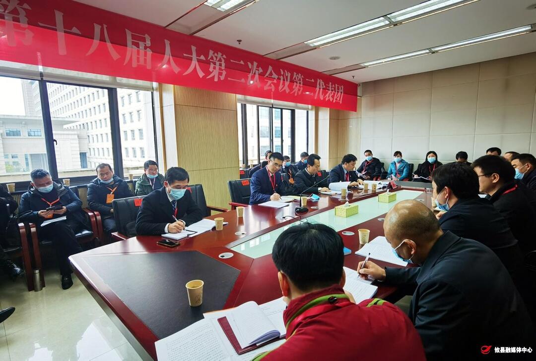 【两会进行时·攸州雄风起】武挪强参加第二代表团讨论