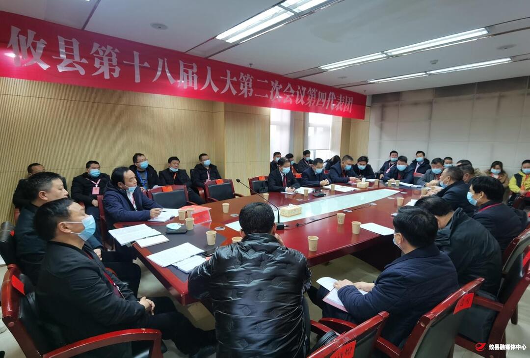 【两会进行时·攸州雄风起】冯杰参加第四代表团讨论