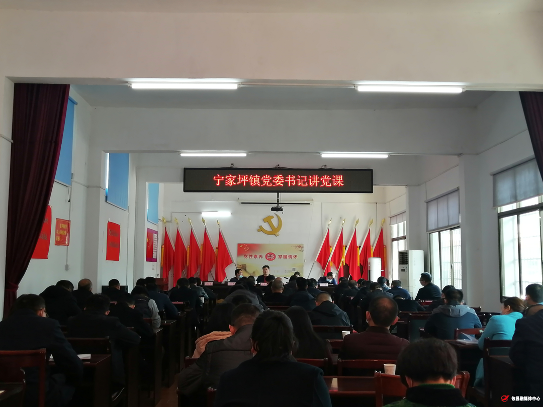 宁家坪镇：受洗礼 有收获 讲党课