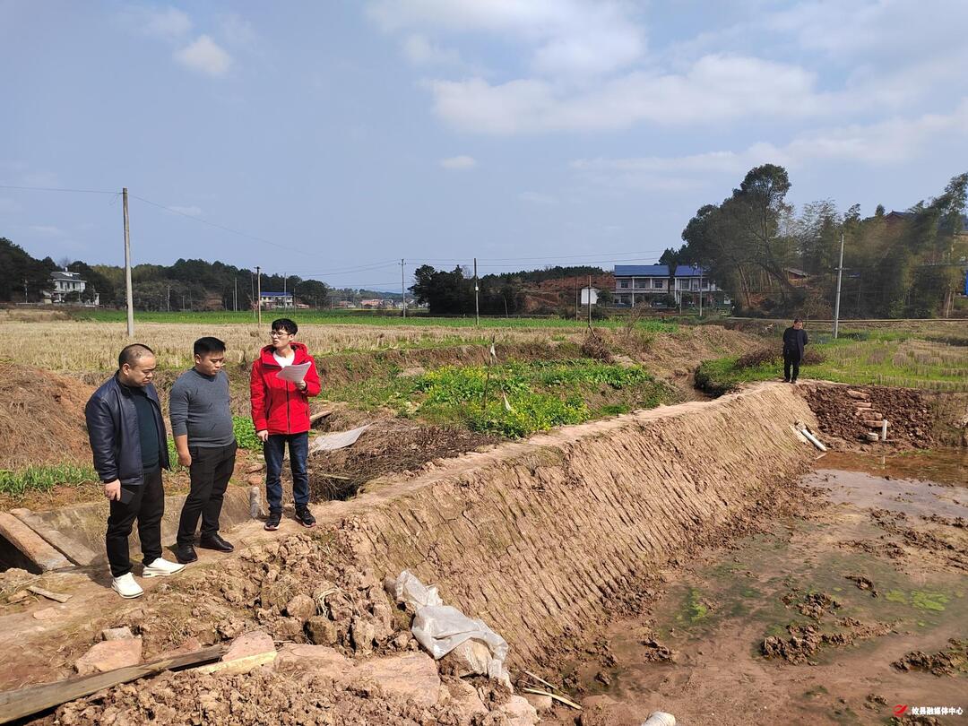 网岭镇：落实耕地保护，严抓破坏耕地行为