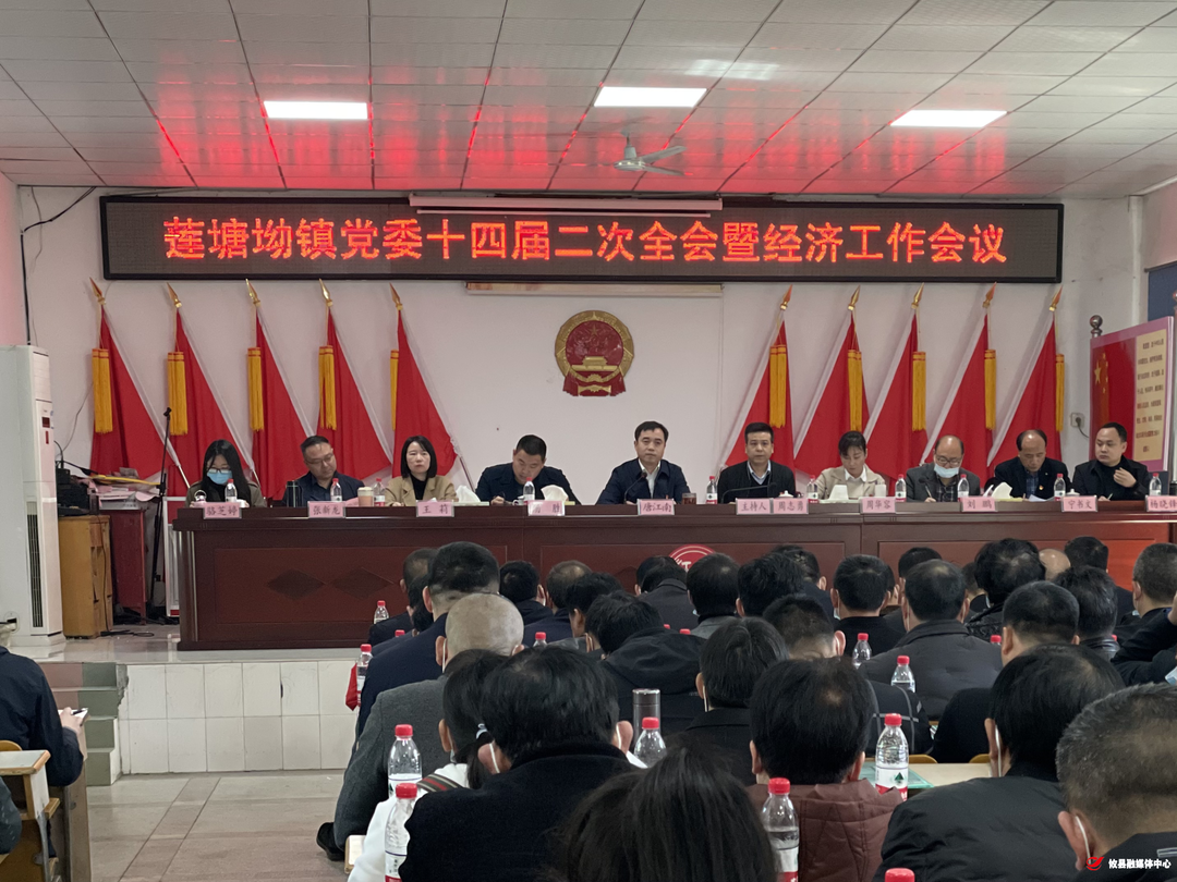 莲塘坳镇召开党委十四届二次全会暨经济工作会议