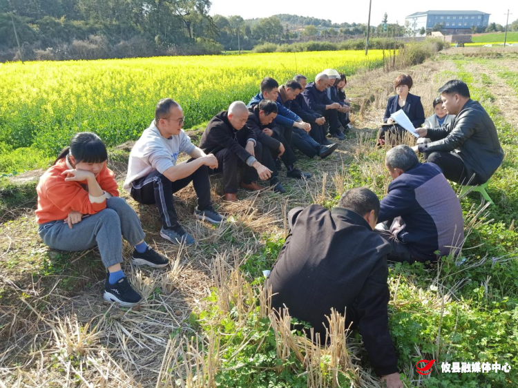 联星街道高岭社区：党小组会走进田间地头
