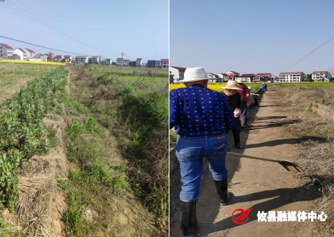【攸县党旗下的新时代文明实践：我为群众办实事】联星街道七里坪社区: 不负农时不负春，春耕备耕正当时