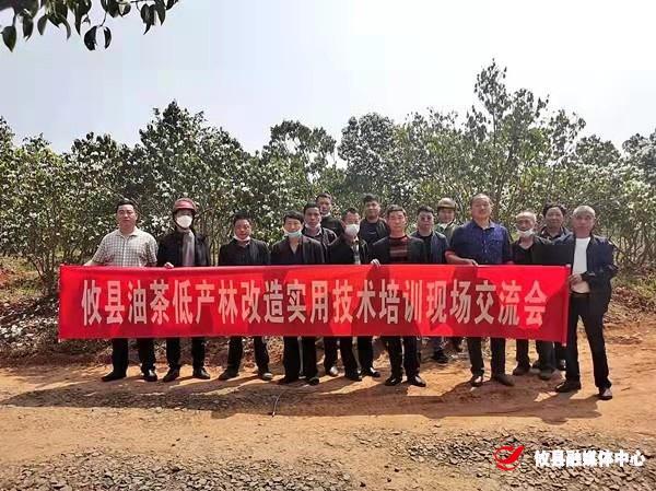 攸县林业局举办油茶低产林改造实用技术培训