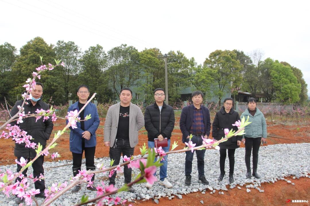 宁家坪镇：农哥山上兴产业 “门前三小”送‘礼’来